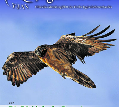 Der Tiroler Jagdaufseher Nr. 45., Ausgabe 1/2024